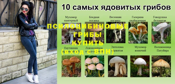 стафф Балабаново
