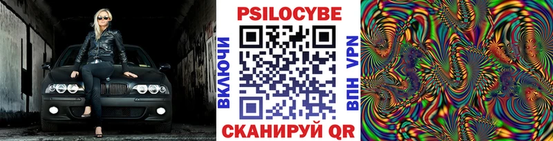 ссылка на мегу tor Сунжа Галлюциногенные грибы мицелий